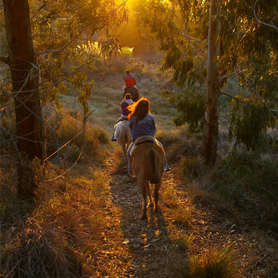 Cabalgatas